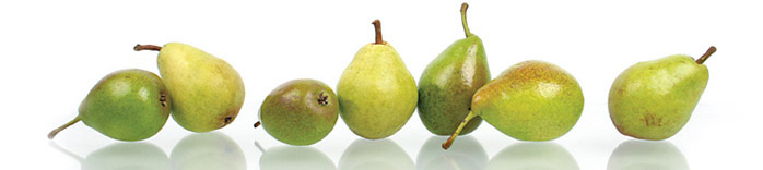 Früchte